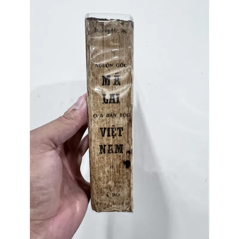 Nguồn gốc Mã Lai của dân tộc Việt Nam - Bình Nguyên Lộc 749116