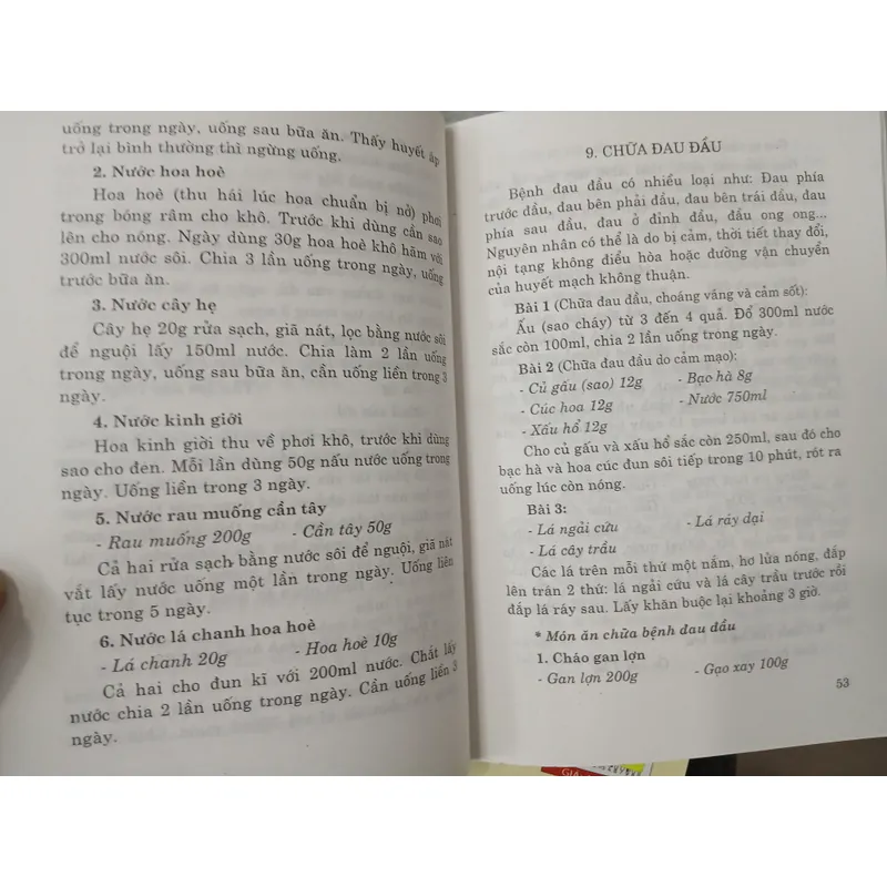 NHỮNG BÀI THUỐC HAY DÂN TỘC DÂN GIAN - LÊ ĐÌNH BÍCH 591523