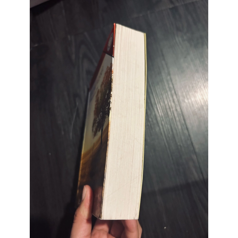 Nắng tháng tám 446384