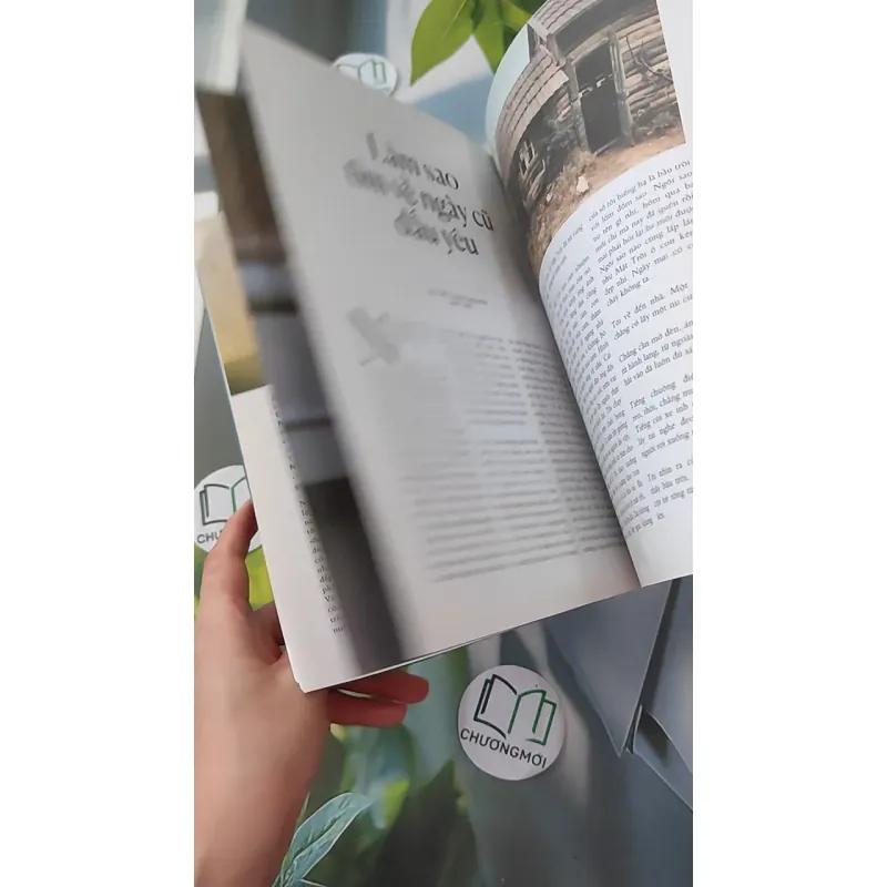 Trà sữa cho tâm hồn (Số 152) - Hoa Học Trò 1018814