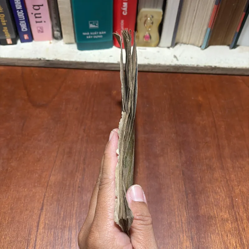 II Sách Xưa: Kim Đồng - Tô Hoài - NXB Măng Non - 1981 790684