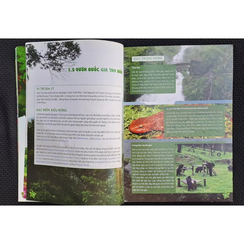 Bộ sách khám phá Việt Nam - Khám phá rừng Tam Đảo 737117