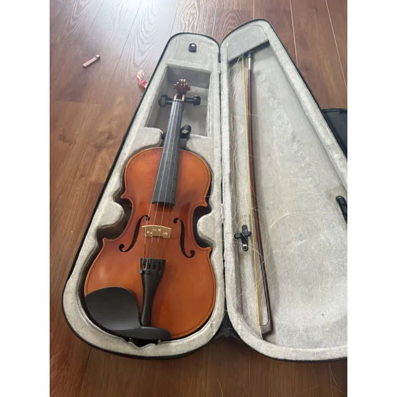 Đàn vĩ cầm 936577