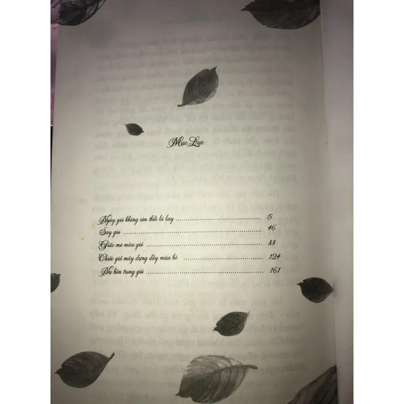 Ngày gió không còn thổi lá bay  1030206