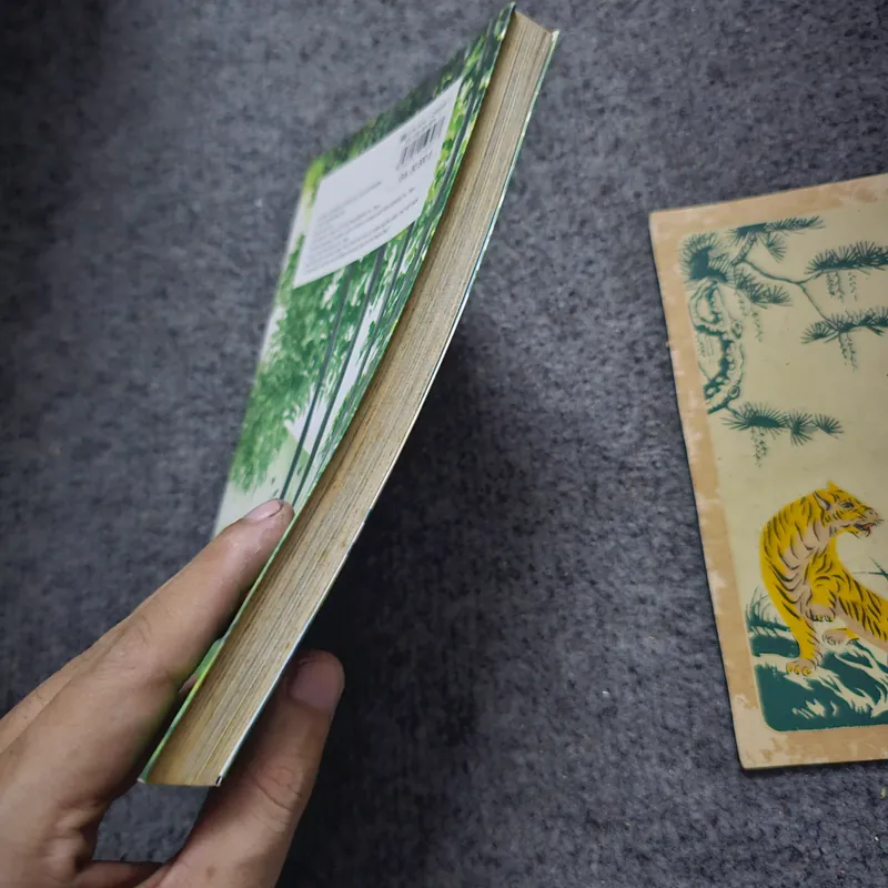 Lạc vào khu rừng đom đóm 734932