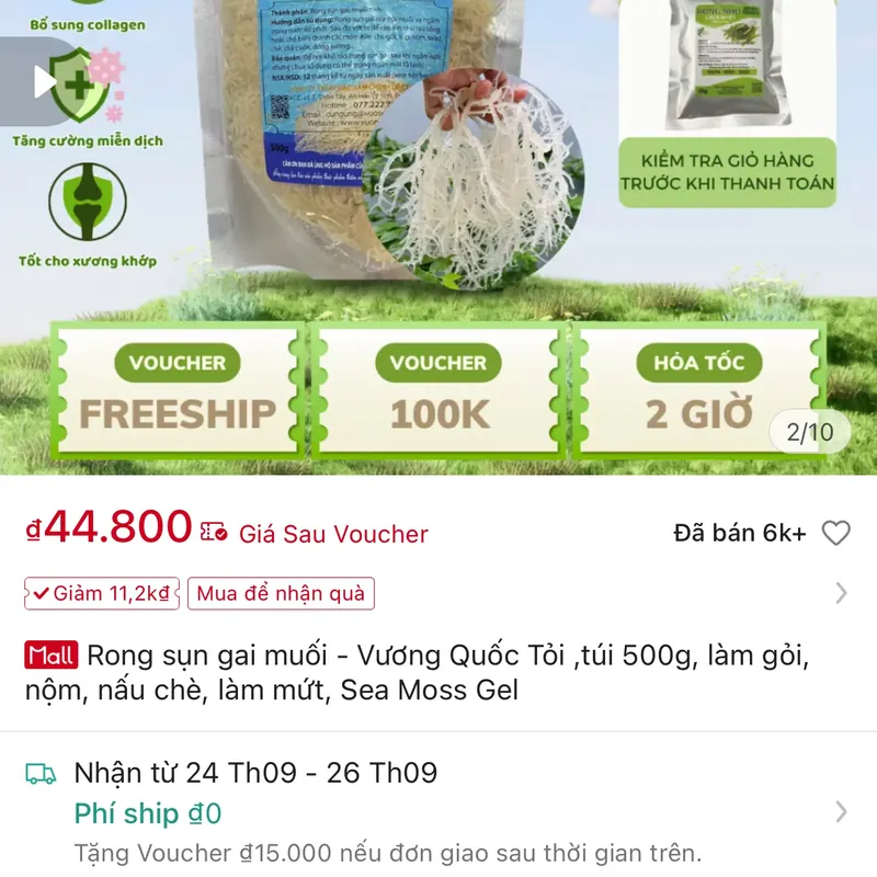 Rong sụn gai 562685