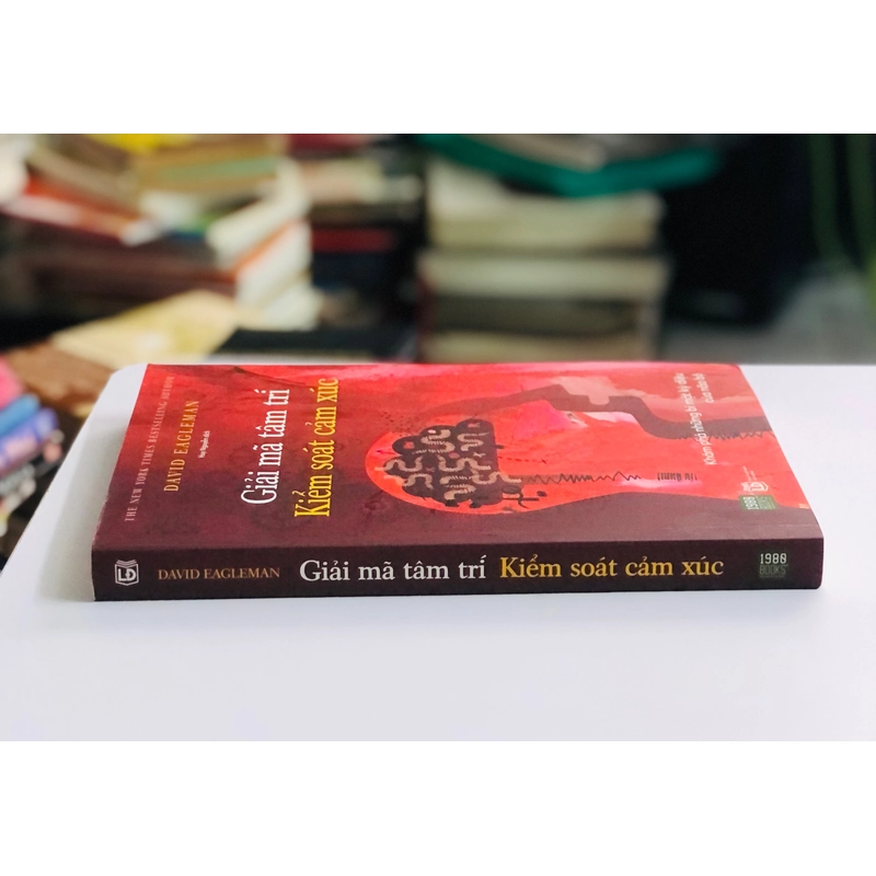 📘 GIẢI MÃ TÂM TRÍ – KIỂM SOÁT CẢM XÚC (David Eagleman) 502880