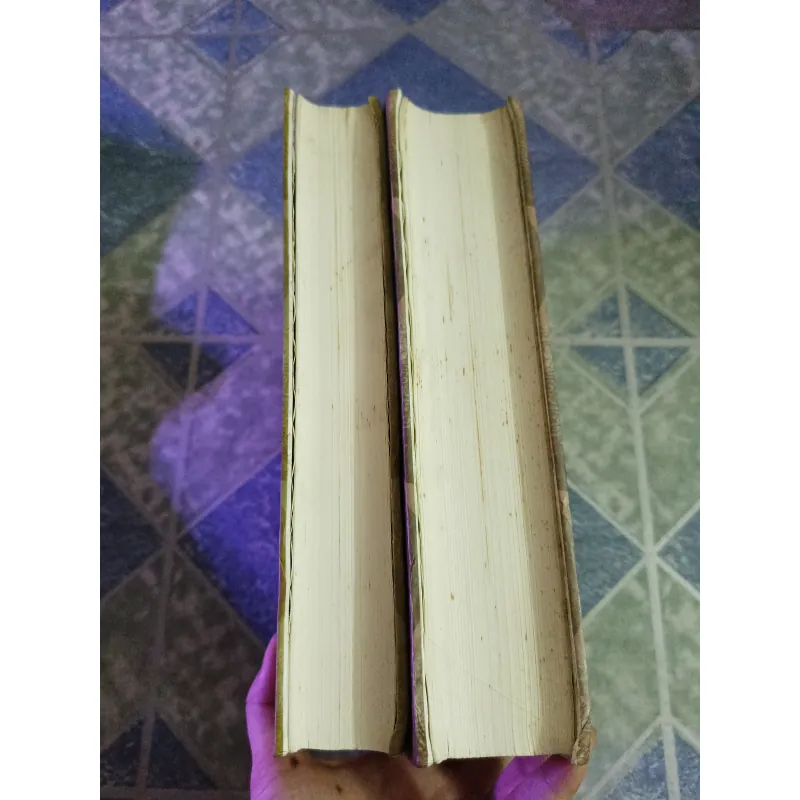 Lịch sử văn hóa Trung Quốc ( 2 tập) 598330