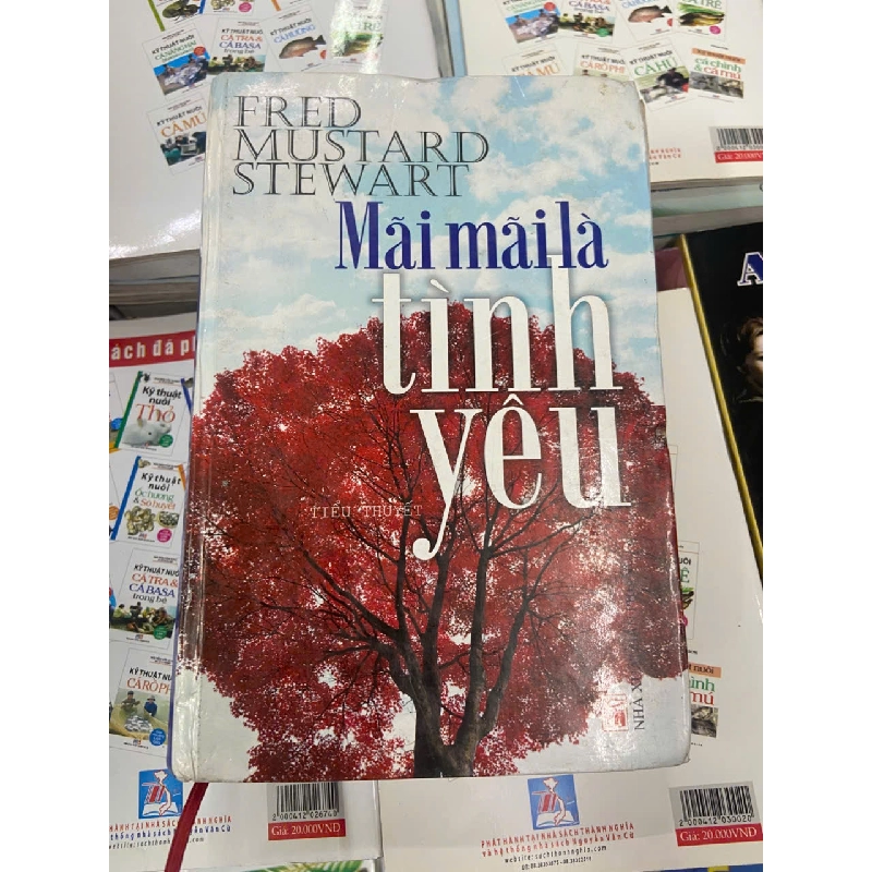 Mãi mãi là tình yêu - Fred Mustard Stewart Sách văn học VAVO1004 1007897