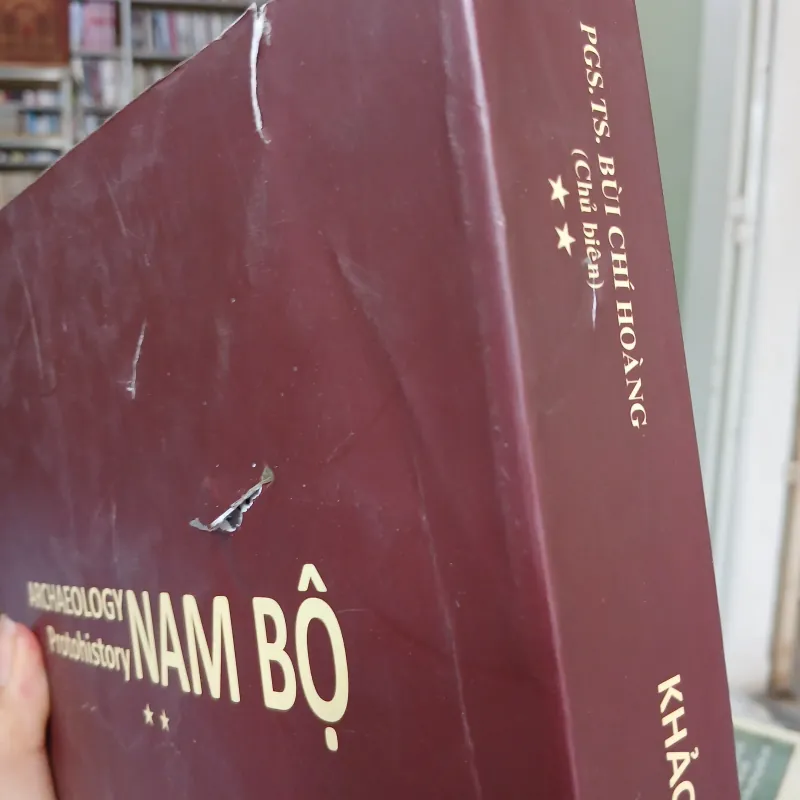 KHẢO CỔ HỌC NAM BỘ - BÙI CHÍ HOÀNG  976662