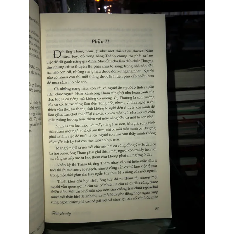 Lời thì thầm của ba người con gái Huế xưa - Minh Đức Hoài Trinh - Linh Bảo - Băng Thanh 740049