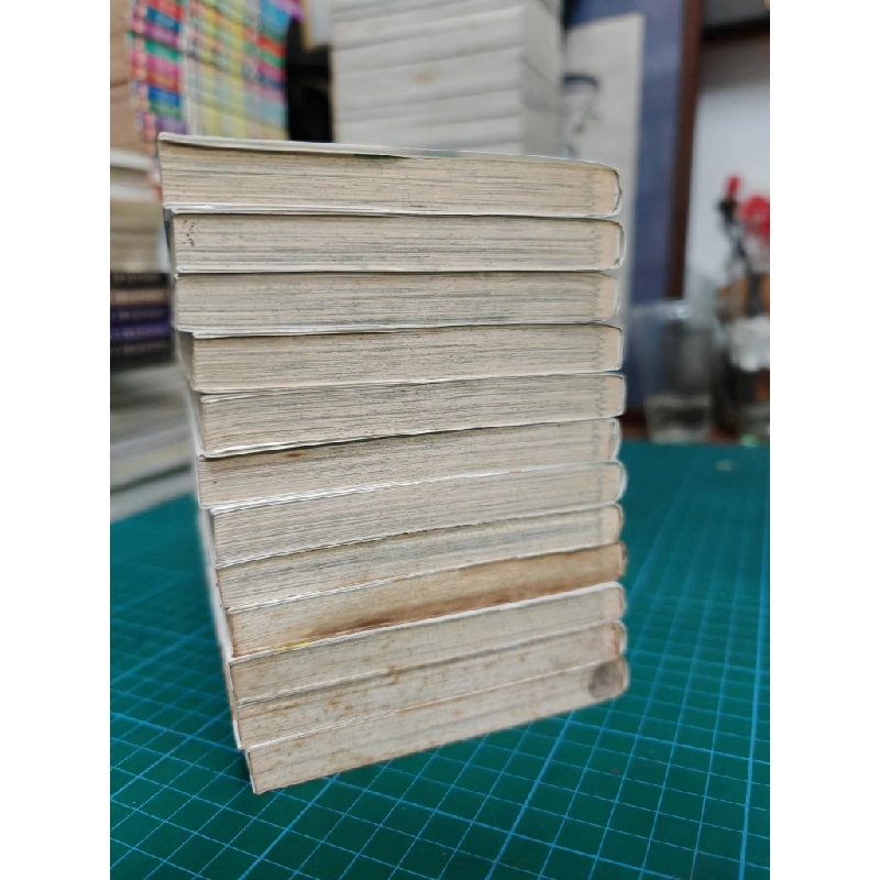 Truyện tranh trò chơi cút bắt 494075