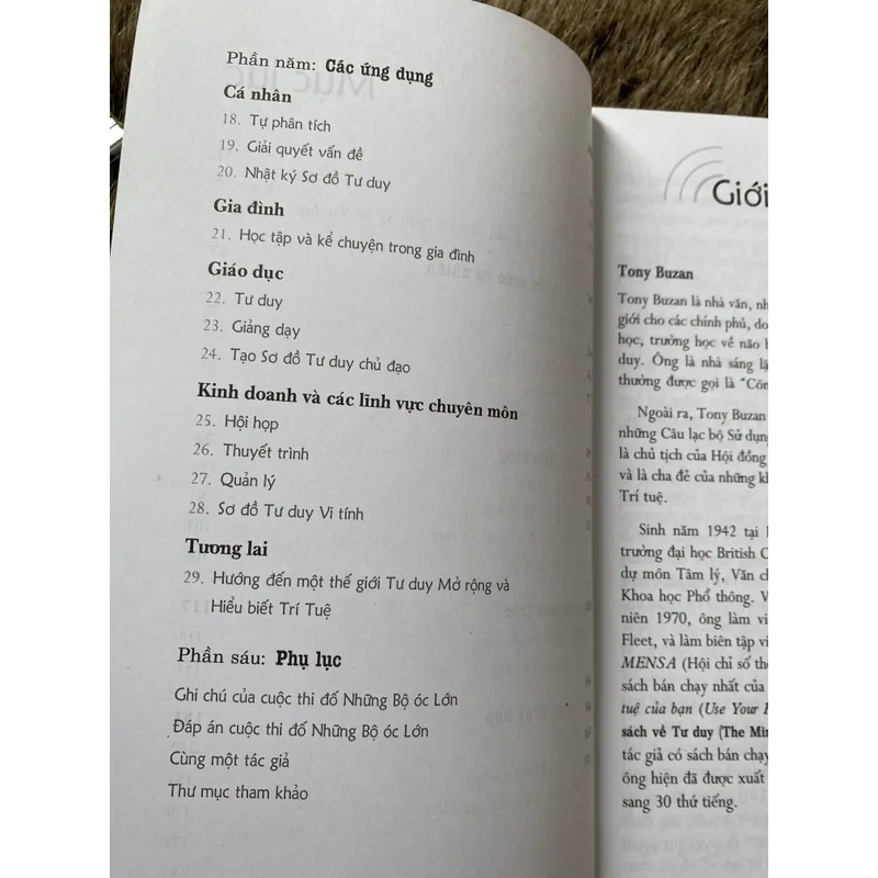 Sơ đồ tư duy- Tony Buzan  603182