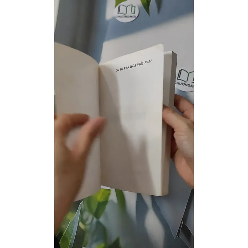 Cơ Sở Văn Hóa Việt Nam - Trần Diễm Thúy 928535