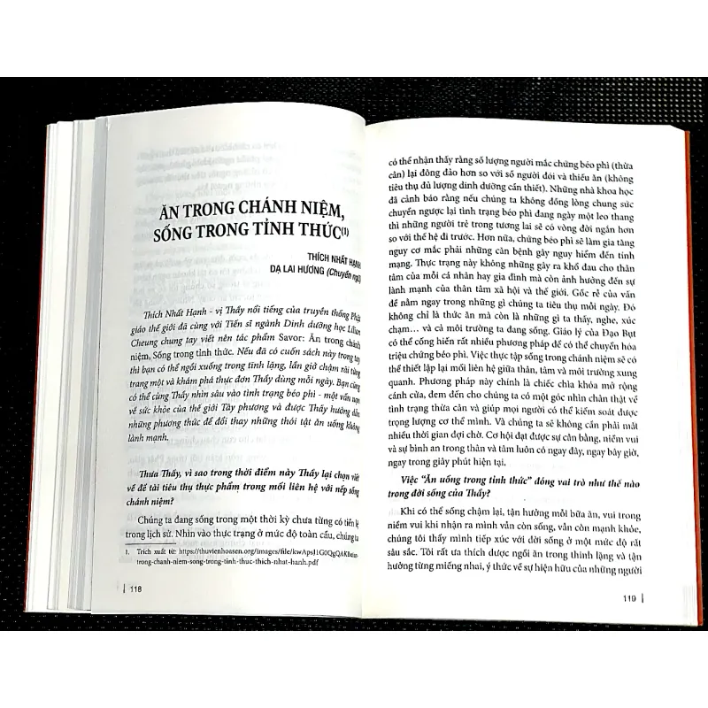 THÍCH NHẤT HẠNH- NGƯỜI THẮP SÁNG CON ĐƯỜNG TỈNH THỨC 1001669