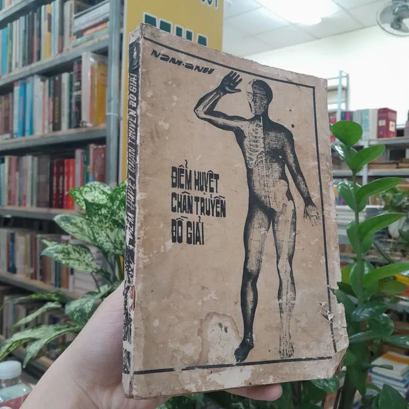 ĐIỂM HUYỆT CHÂN TRUYỀN ĐỒ GIẢI - NAM ANH 738617