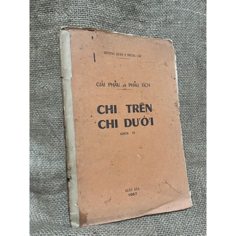 Giải phẫu & Phẫu Thuật xương chị trên; Xb 1957 1011242