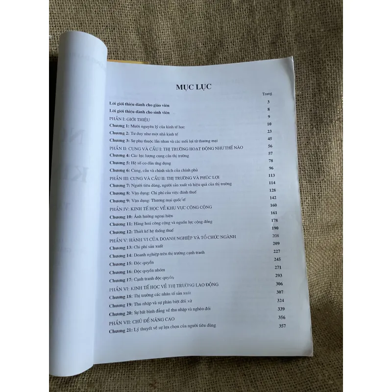 Nguyên lý kinh tế học - 500 trang khổ lớn- N. Gregory Mankiw 960521