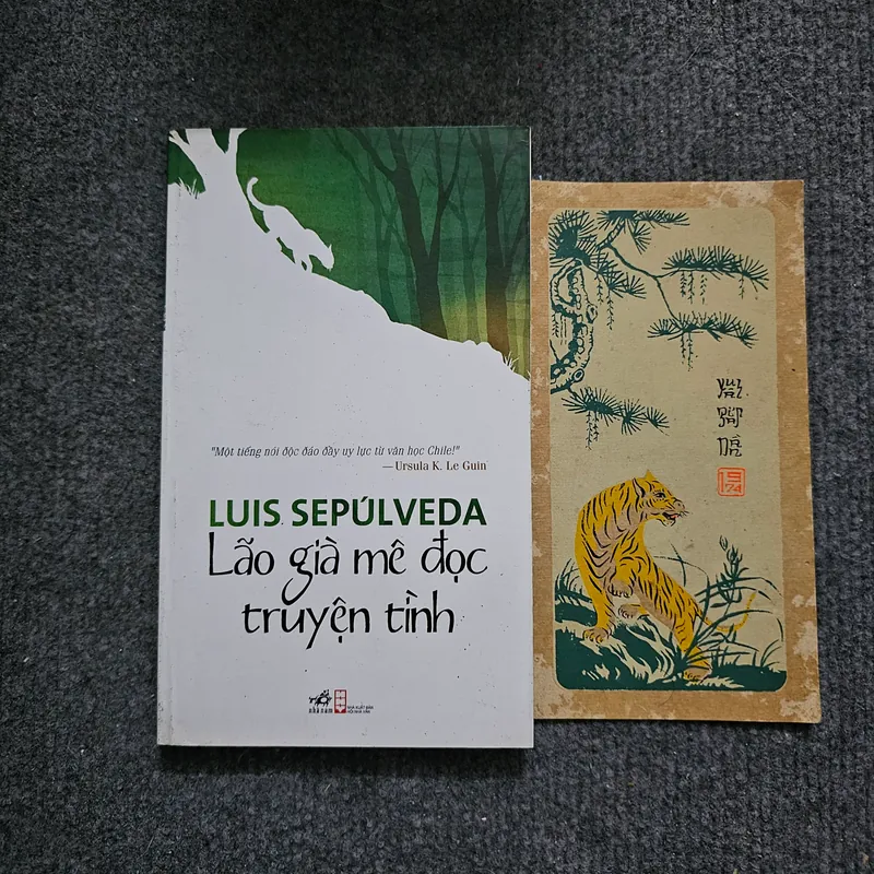 Lão gìa mê đọc truyện tình 734713