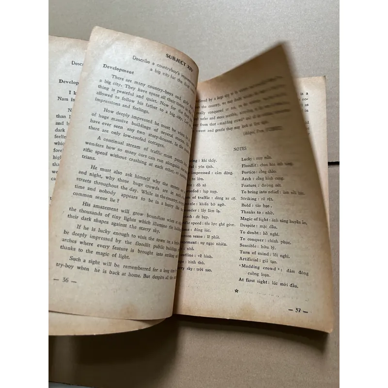 Complete English Essay Course 703444