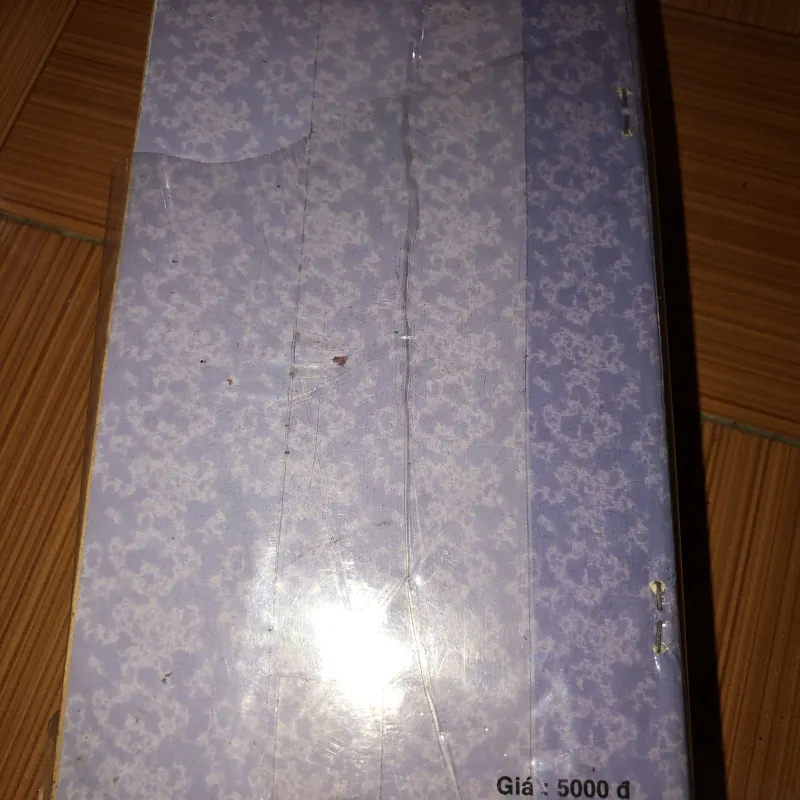 Cô gái khả ái  935269