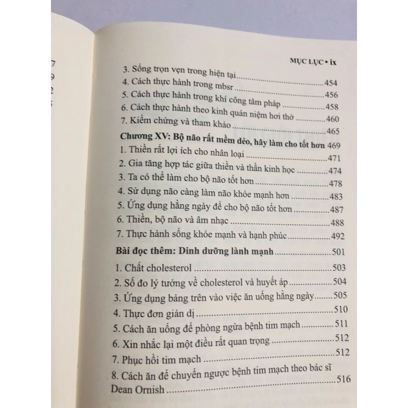  KHÍ CÔNG TÂM PHÁP – Phụng Sơn 493410