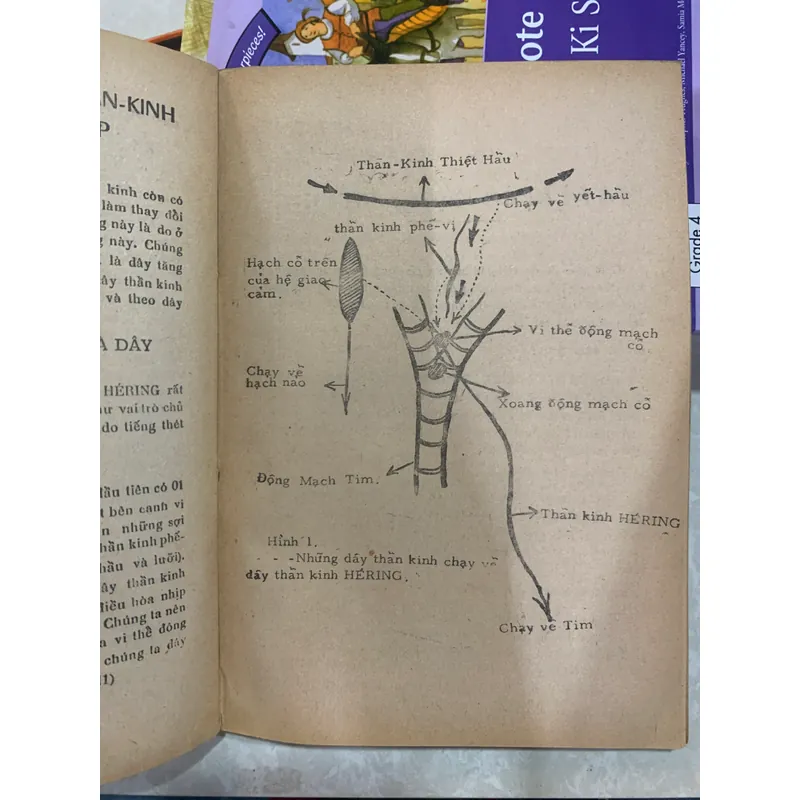 GIẢI HUYỆT BÍ TRUYỀN - GIÁO SƯ VŨ ĐỨC 613682