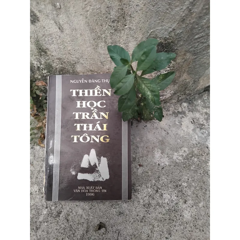 Thiền học Trần Thái Tông của GS Nguyễn Đăng Thục  1019145
