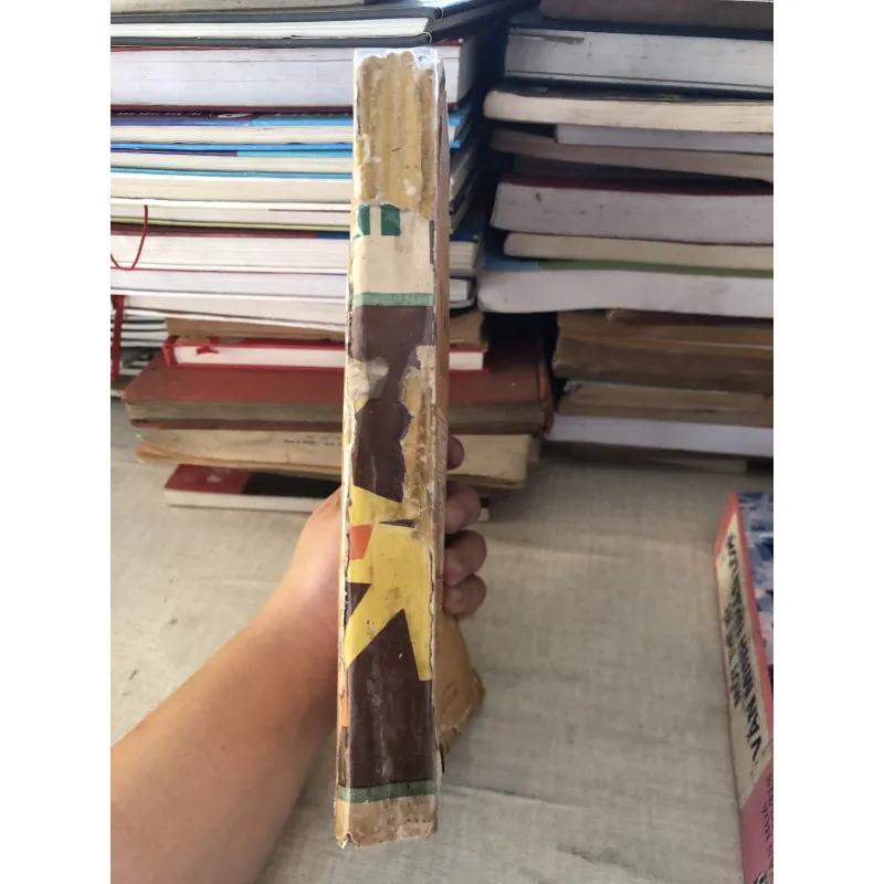 Việt Văn Độc Bản  995084