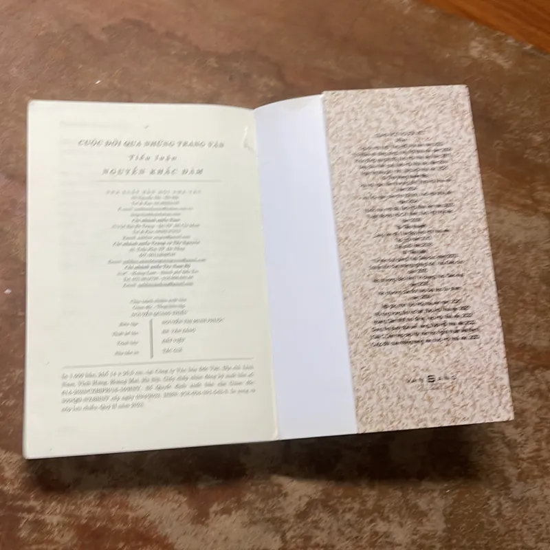 CUỘC ĐỜI QUA NHỮNG TRANG VĂN ( LÝ LUẬN PHÊ BÌNH) - NGUYỄN KHẮC ĐÀM 682064