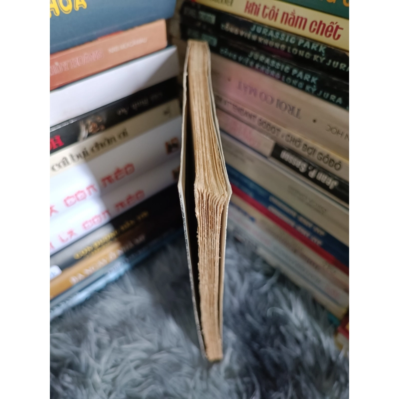 Về Kinh Bắc (Hoàng Cầm) 477903