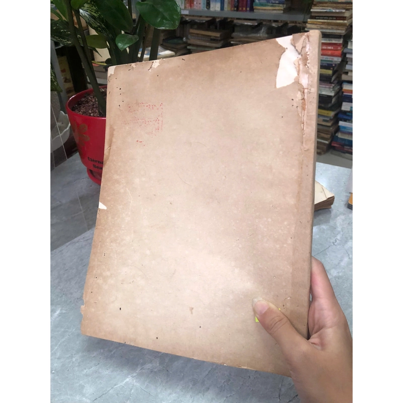 HẢI SINH VẬT NUÔI TẠI HỒ CÁ VIỆN HẢI HỌC NHA TRANG - TRẦN TRỌNG PHAN 454935