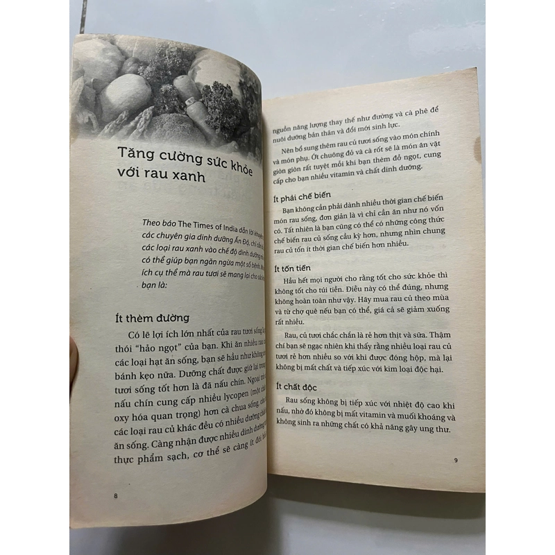 Ngon ngọt vị rau 447426