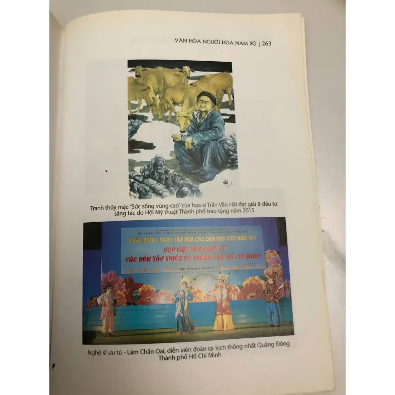 Văn hóa người Hoa Nam Bộ 597492