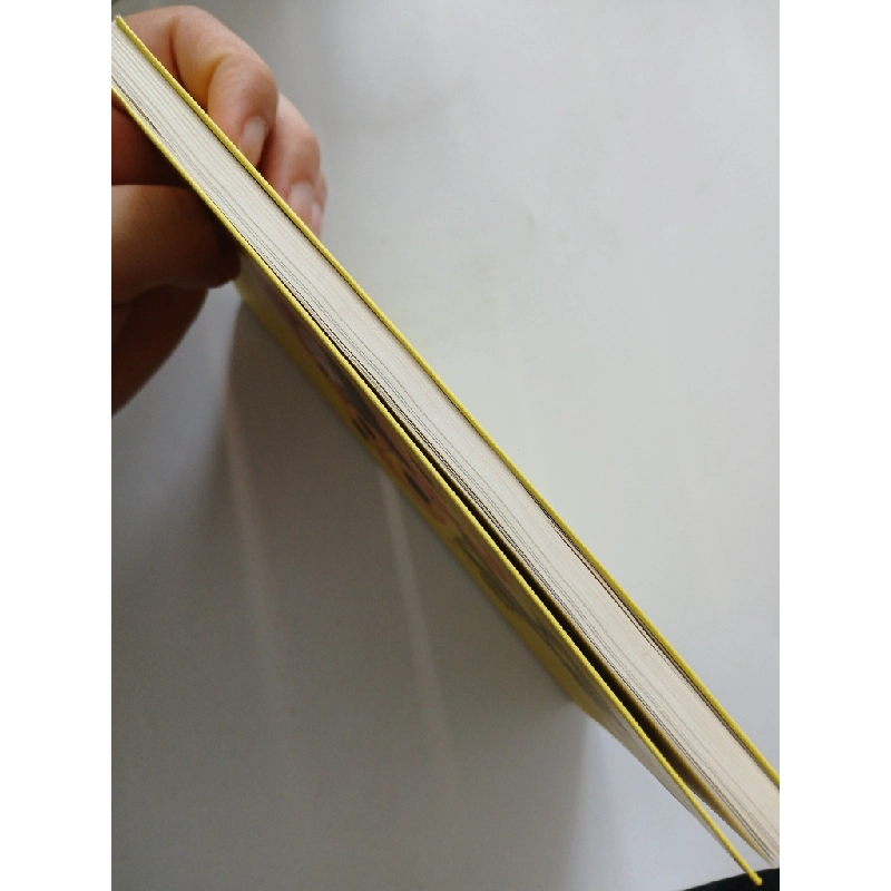 Vương quốc sư tử - Asbook biên soạn 540023