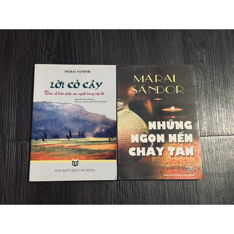 Combo lời cỏ cây + ngọn nến chảy tàn 592771