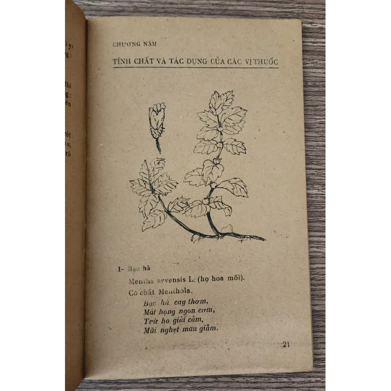 35 cây thuốc dễ tìm, trị 7 bệnh thường gặp - Lương y Nguyễn Văn Xứng 760689