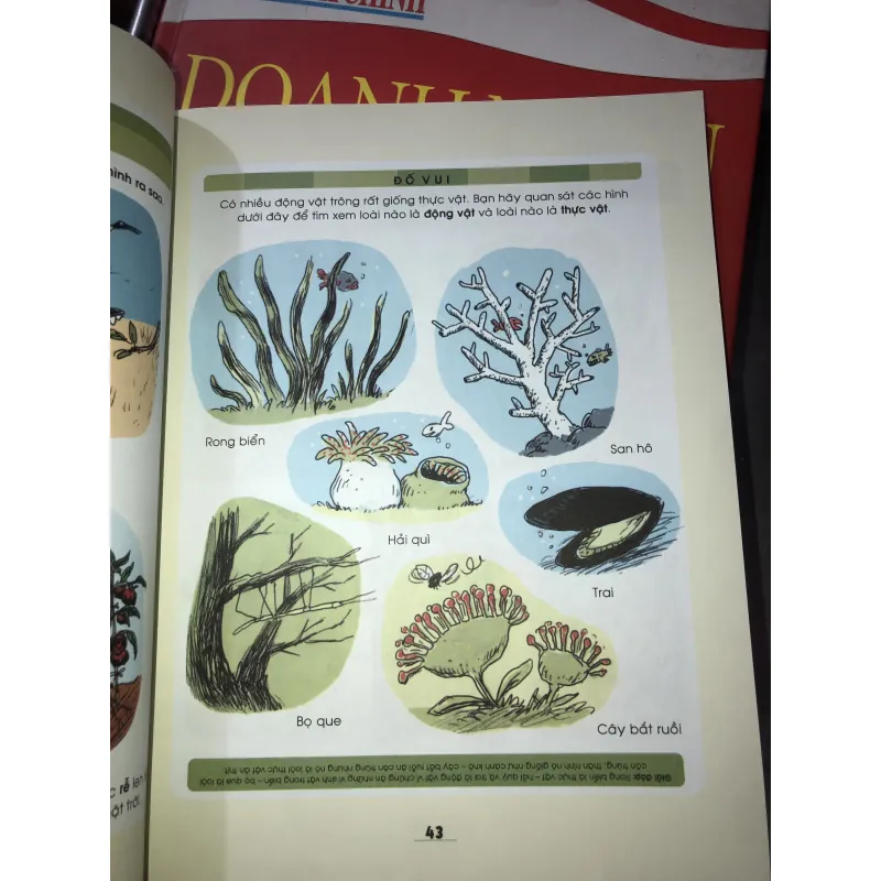 Khoa học thật hấp dẫn  1010087