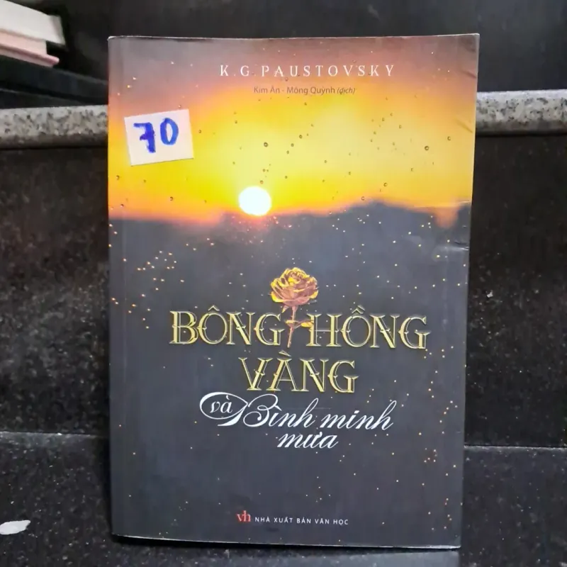 Bông hồng vàng và bình minh mưa 1006060
