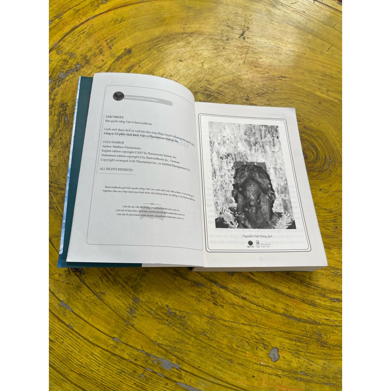 GIẢI THOÁT- MATTHEW FITZSIMMONS 536259