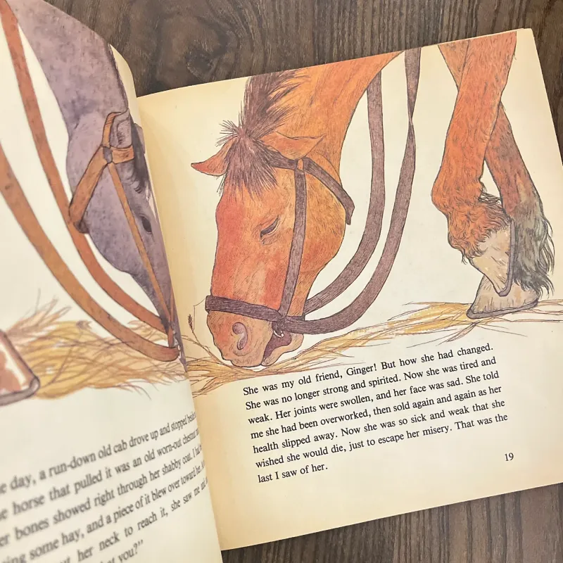 ✨𝑻𝒉𝒆 𝑪𝒐𝒖𝒓𝒂𝒈𝒆 𝒐𝒇 𝑩𝒍𝒂𝒄𝒌 𝑩𝒆𝒂𝒖𝒕𝒚✨ 675195