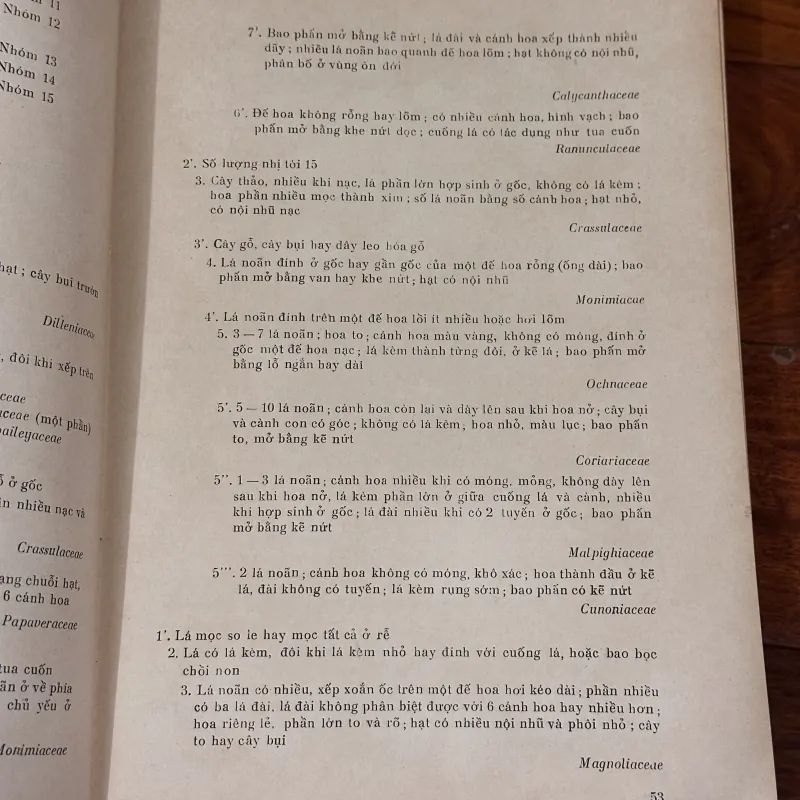 [sách quý] Những Họ Thực Vật Có Hoa (1975) 931249
