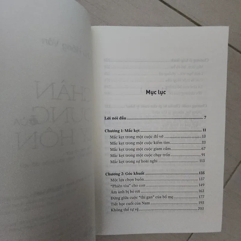 Sách Chân dung của ly hôn 719817