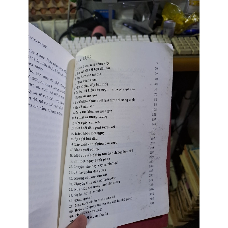 Anne tóc đỏ làng Avonlea 2012 mới 80% mốc đen bên ngoài Văn học nước ngoài HCM1709 923832