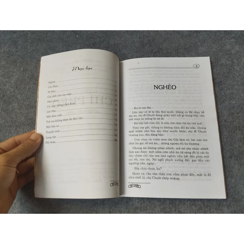 CHÍ PHÈO - NAM CAO 719961