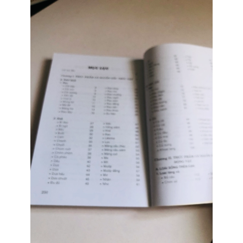 PHÒNG VÀ CHỮA BỆNH BẰNG THỨC ĂN HÀNG NGÀY  548615