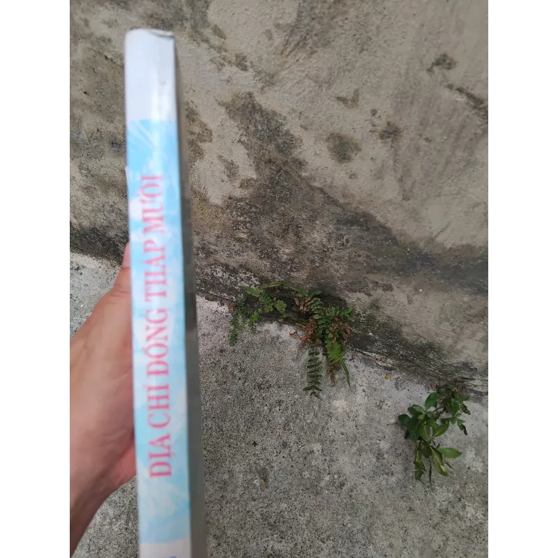 Địa chí Đồng Tháp Mười  1030146