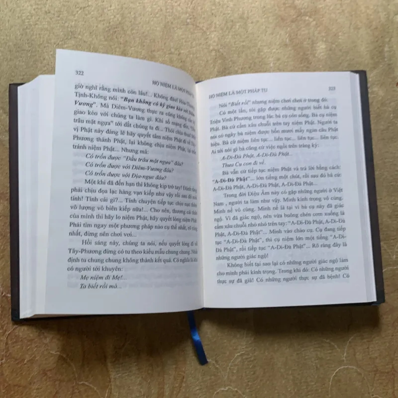 HỘ NIỆM LÀ MỘT PHÉP TU - DIỆU ÂM ( MINH TRỊ ) 1009939