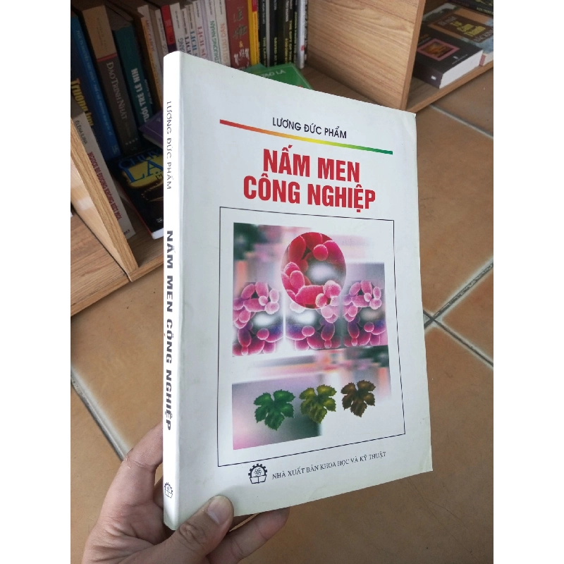 (Sách cũ SCGR) Nấm men công nghiệp - Đức Phẩm 2009 VAVO-A2 Blogmeo090426 1015428