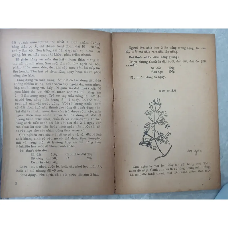 CÂY THUỐC GIA ĐÌNH 588890